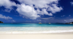 background1.jpg