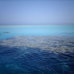 MARSA ALAM1