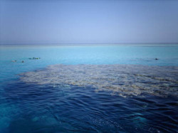 MARSA ALAM1