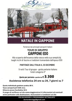 Capodanno in GIAPPONE con tour di gruppo